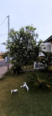 Casa Parque Aroeira