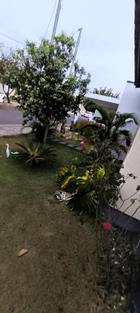 Casa Parque Aroeira