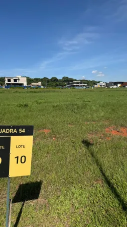 Lote Plateau D' Or Unique