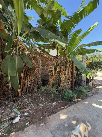 Lote Jardim América