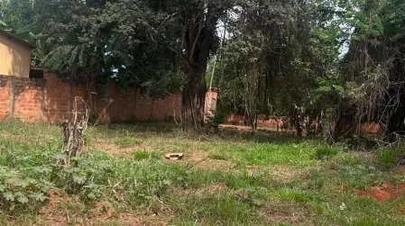 Lote Rosa dos Ventos