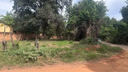 Lote Rosa dos Ventos