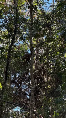 Chácara de Recreio Samambaia