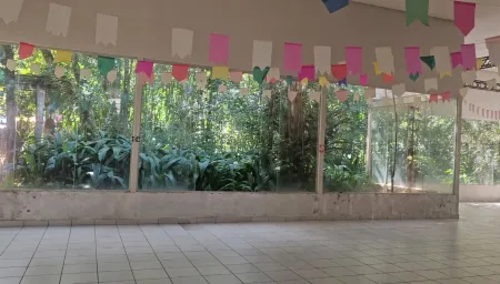 Chácara de Recreio Samambaia