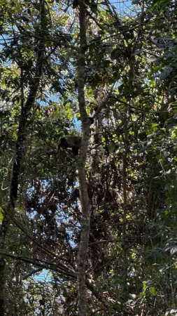 Chácara de Recreio Samambaia