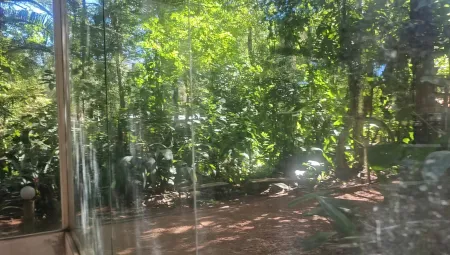 Chácara de Recreio Samambaia