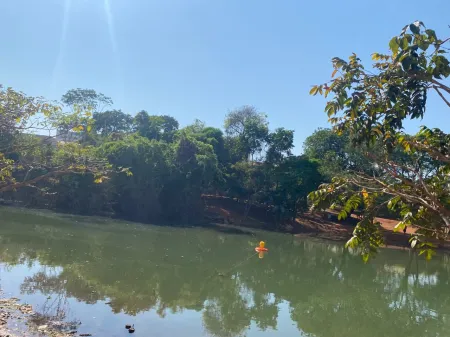 Flora Park Paineiras