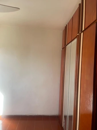 Art.5