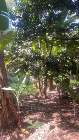 Chácara Jardim Novo Mundo