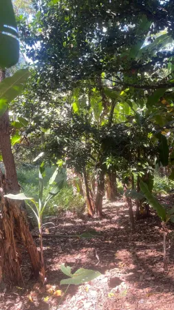 Chácara Jardim Novo Mundo