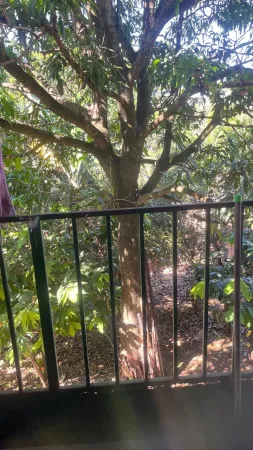 Chácara Jardim Novo Mundo
