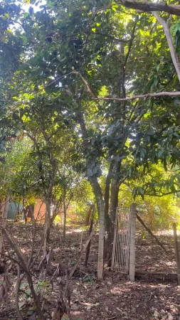 Chácara Jardim Novo Mundo