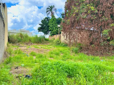 Lote Setor Aeroporto Sul