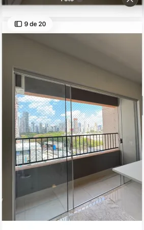 Vaca Brava 53