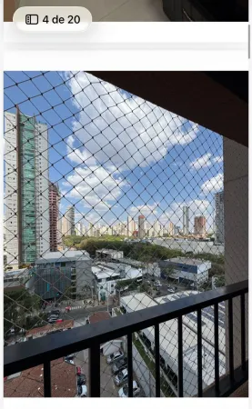 Vaca Brava 53