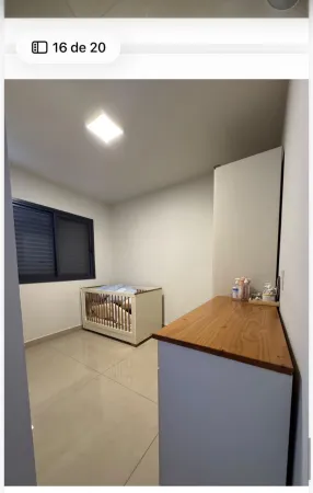 Vaca Brava 53