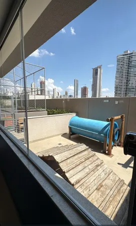 Vaca Brava 53