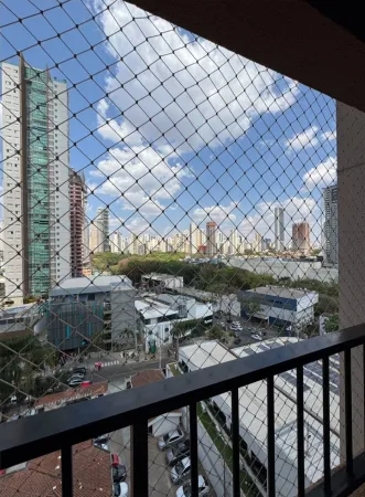 Vaca Brava 53