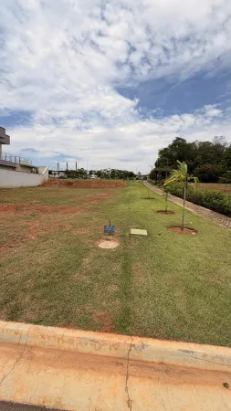 Lote Jardins França