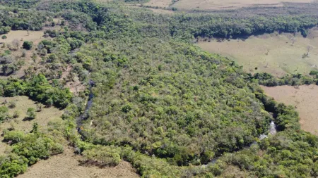 Fazenda Corumbá de Goiás