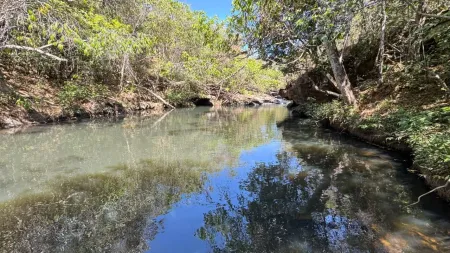 Fazenda Corumbá de Goiás