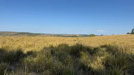 Fazenda Corumbá de Goiás