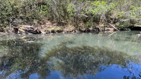 Fazenda Corumbá de Goiás