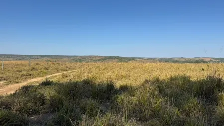 Fazenda Corumbá de Goiás