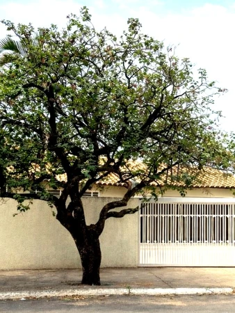 Casa Vila Lucy