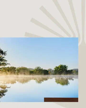 Lote Fazenda Lumiar