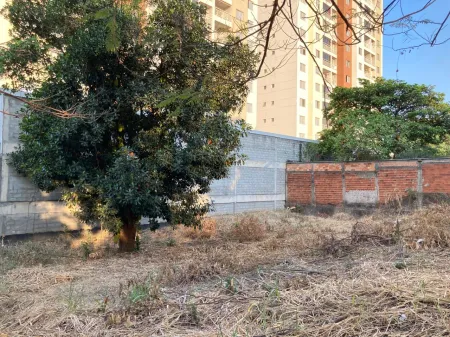 Lote Jardim Atlântico