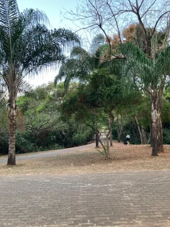 Lote Jardim Atlântico