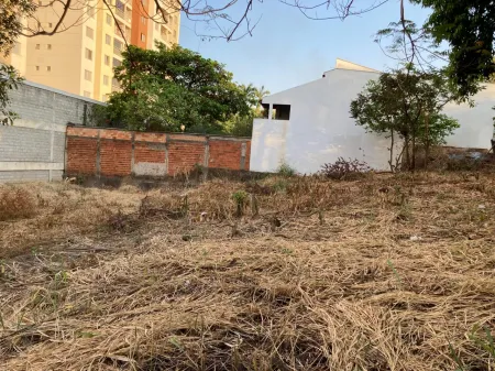 Lote Jardim Atlântico