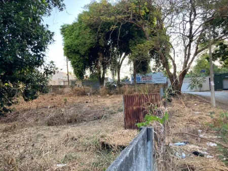 Lote Jardim Atlântico