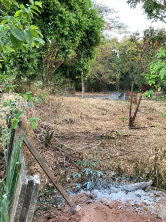 Lote Jardim Atlântico