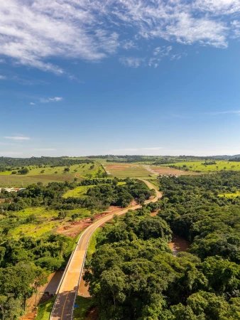 Lote Vinhas Flamboyant