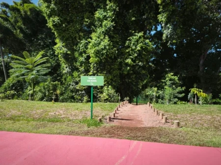 Lote Jardins Versalhes