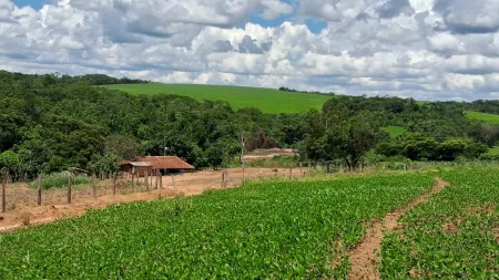 Fazenda Silvânia