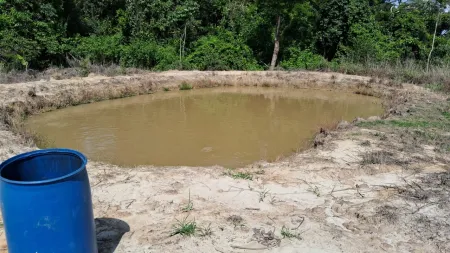 Fazenda Silvânia