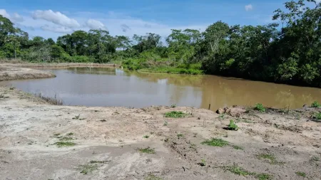 Fazenda Silvânia