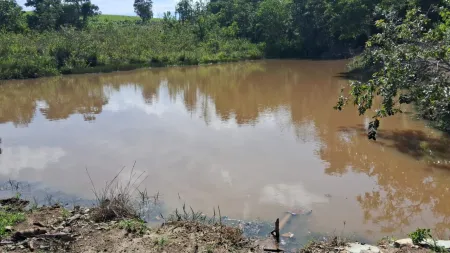 Fazenda Silvânia