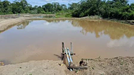 Fazenda Silvânia