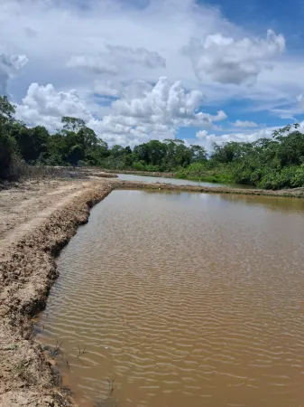 Fazenda Silvânia