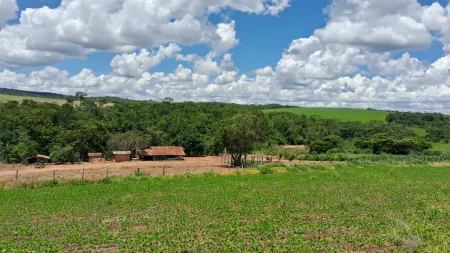 Fazenda Silvânia