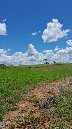 Fazenda Silvânia
