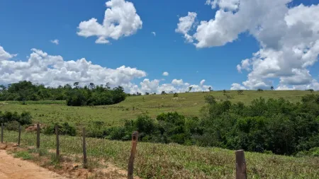 Fazenda Silvânia