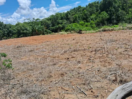 Fazenda Silvânia
