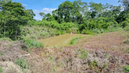 Fazenda Silvânia