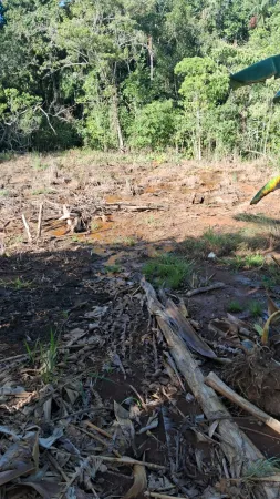 Fazenda Silvânia