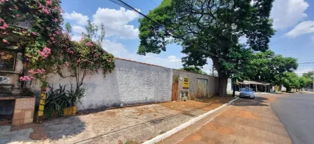 Lote Castelo Branco